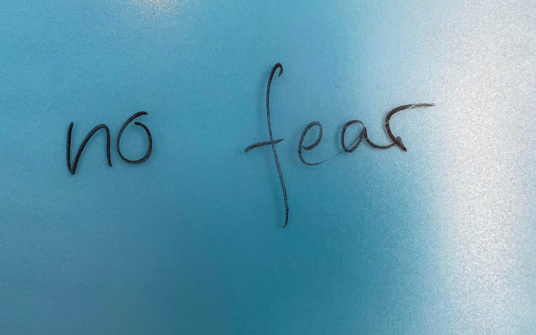 The Failure of Fear