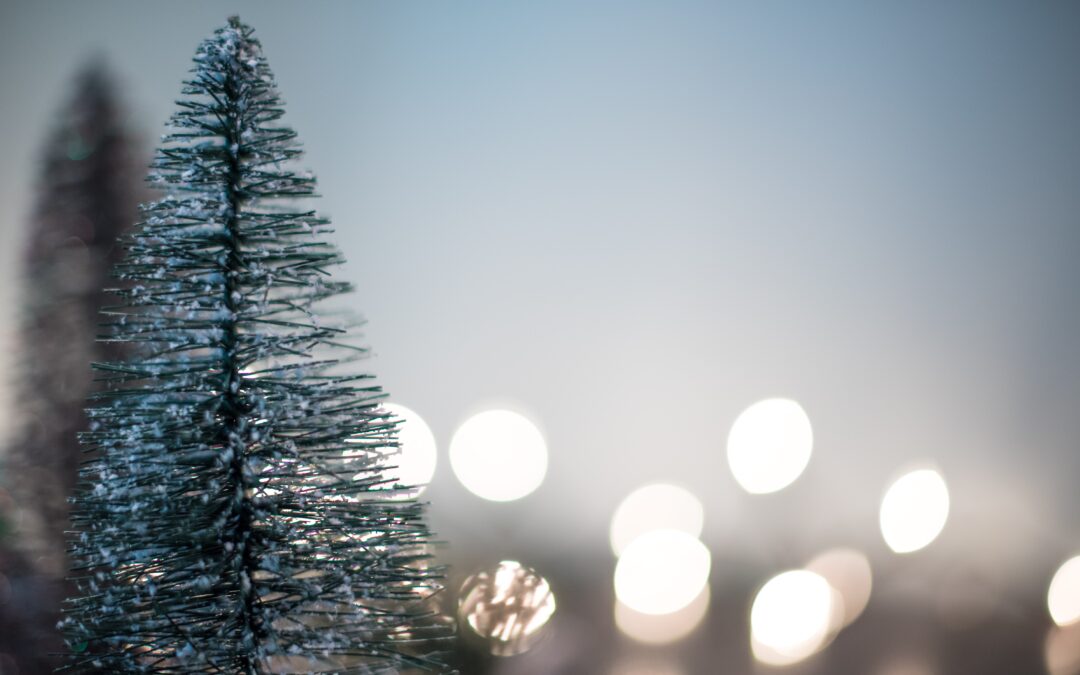A small Christmas tree with out of focus lights in the background.